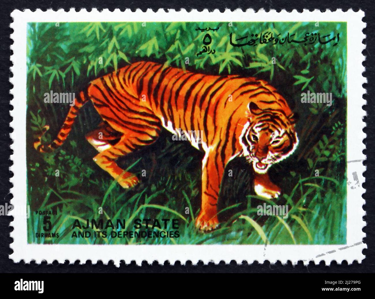 AJMAN - CIRCA 1972: a stamp printed in the Ajman shows Tiger, Pantera Tigris, Animal, circa 1972 Stock Photo