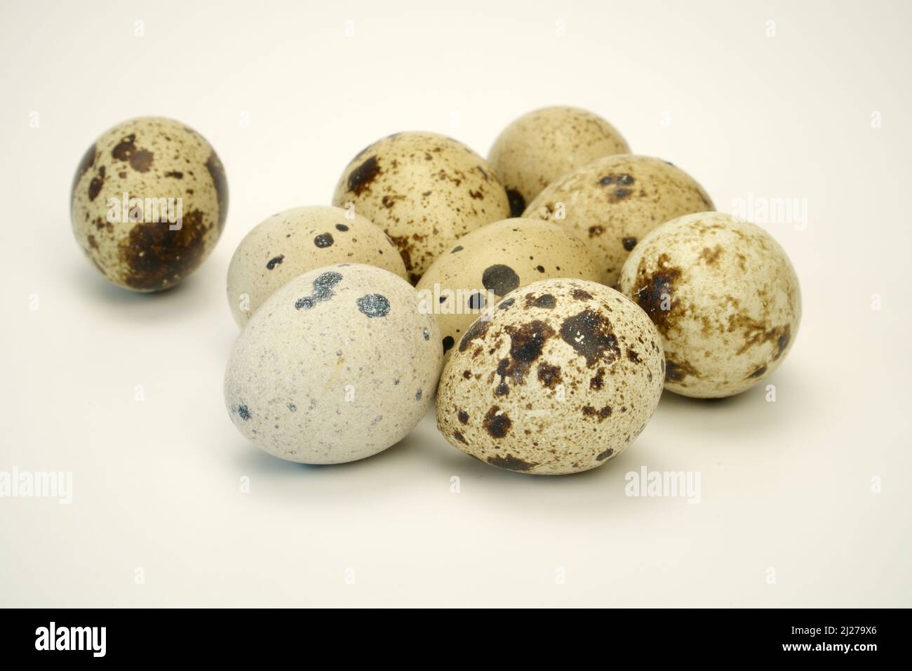 The eggs of quails show on a pastel hue white background. The speckled eggshells texture in a close-up scene. A common quail egg beautiful sample in a Stock Photo