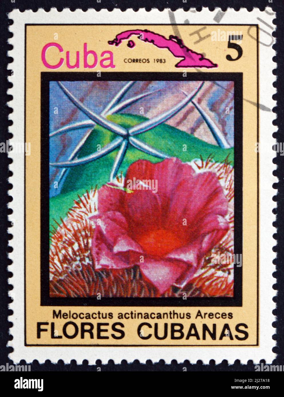 CUBA - CIRCA 1983: a stamp printed in the Cuba shows Dwarf Turks-cap Cactus, Melocactus Actinacanthus, suculent, circa 1983 Stock Photo