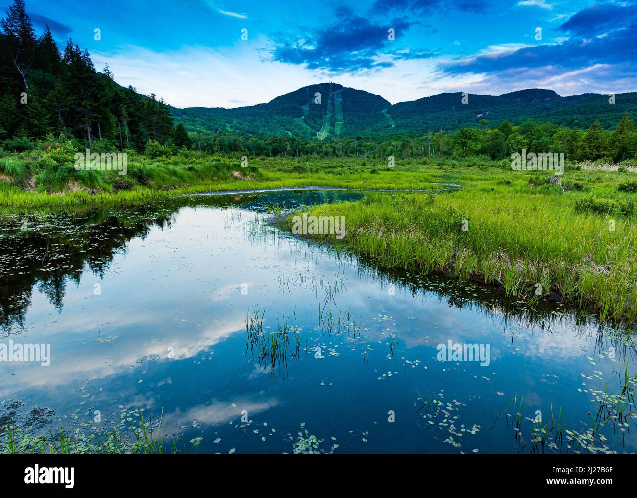 Mount Orford in summer Stock Photo Alamy