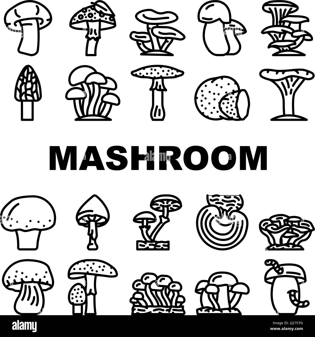 Mushroom Vegetable And Fungus Icons Set Vector Stock Vector Image & Art ...