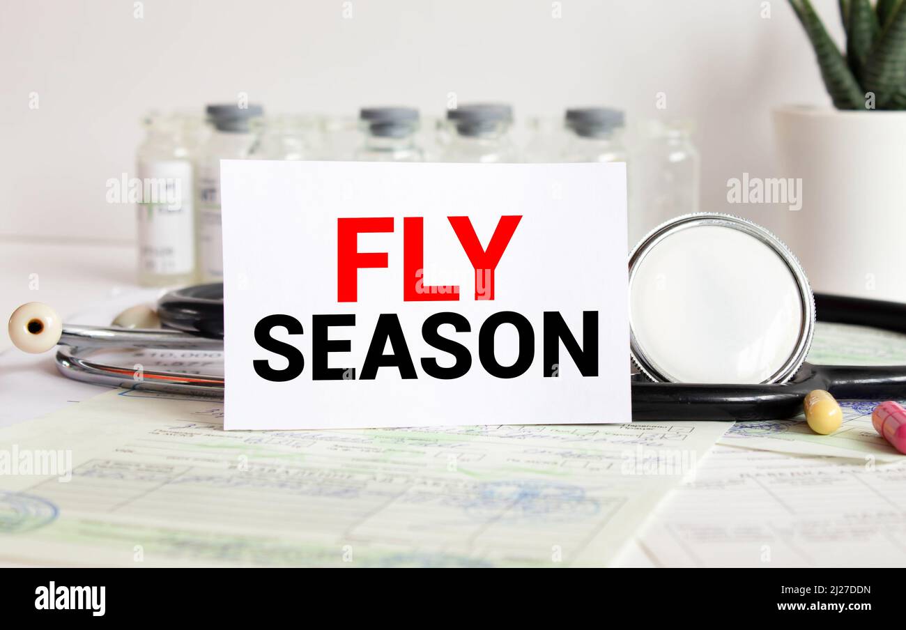 text FLY SEASON on white card. Medical concept Stock Photo Alamy