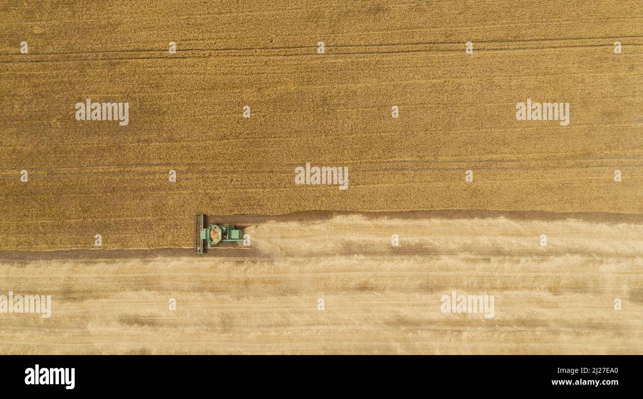Aerial view combine harvester harvesting on the field Stock Photo - Alamy