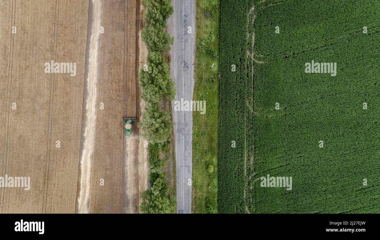 Aerial view combine harvester harvesting on the field Stock Photo - Alamy