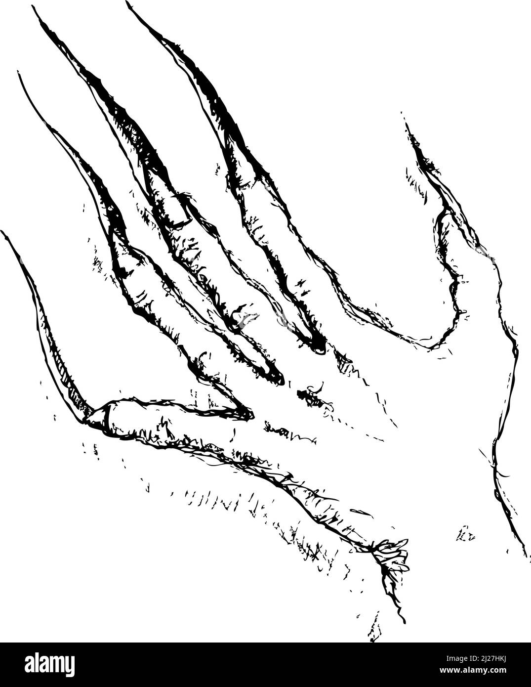 Hand scratching, vector illustration design Stock Vector