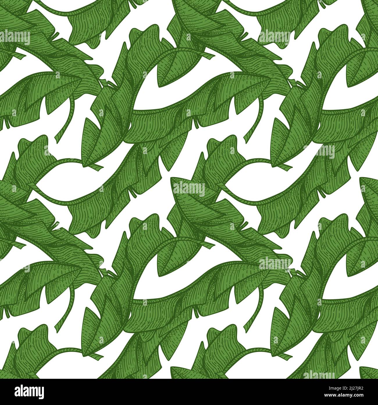 Tropical banana leaf seamless pattern.Jungle leaves background ...