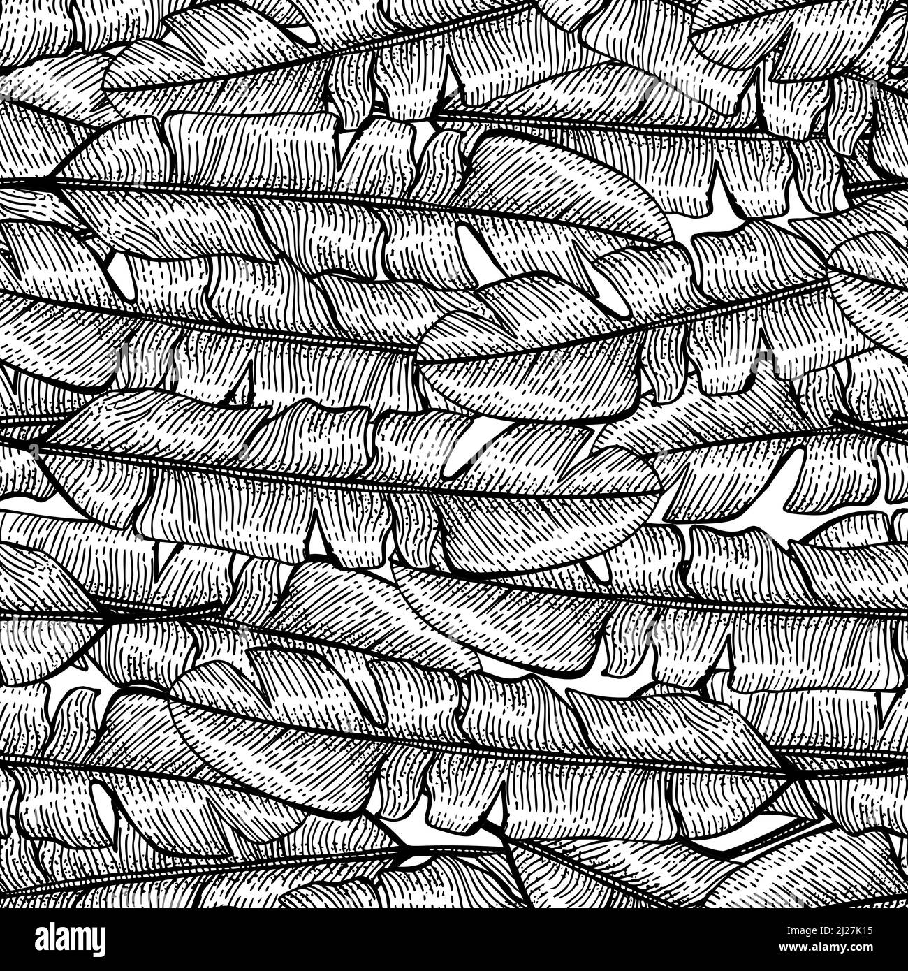 Tropical banana leaf seamless pattern.Jungle leaves background ...