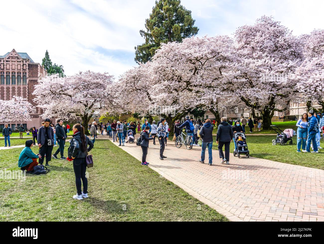 Seattle WA., USA - MARCH 24 2022: University Of Washington Quad opens ...