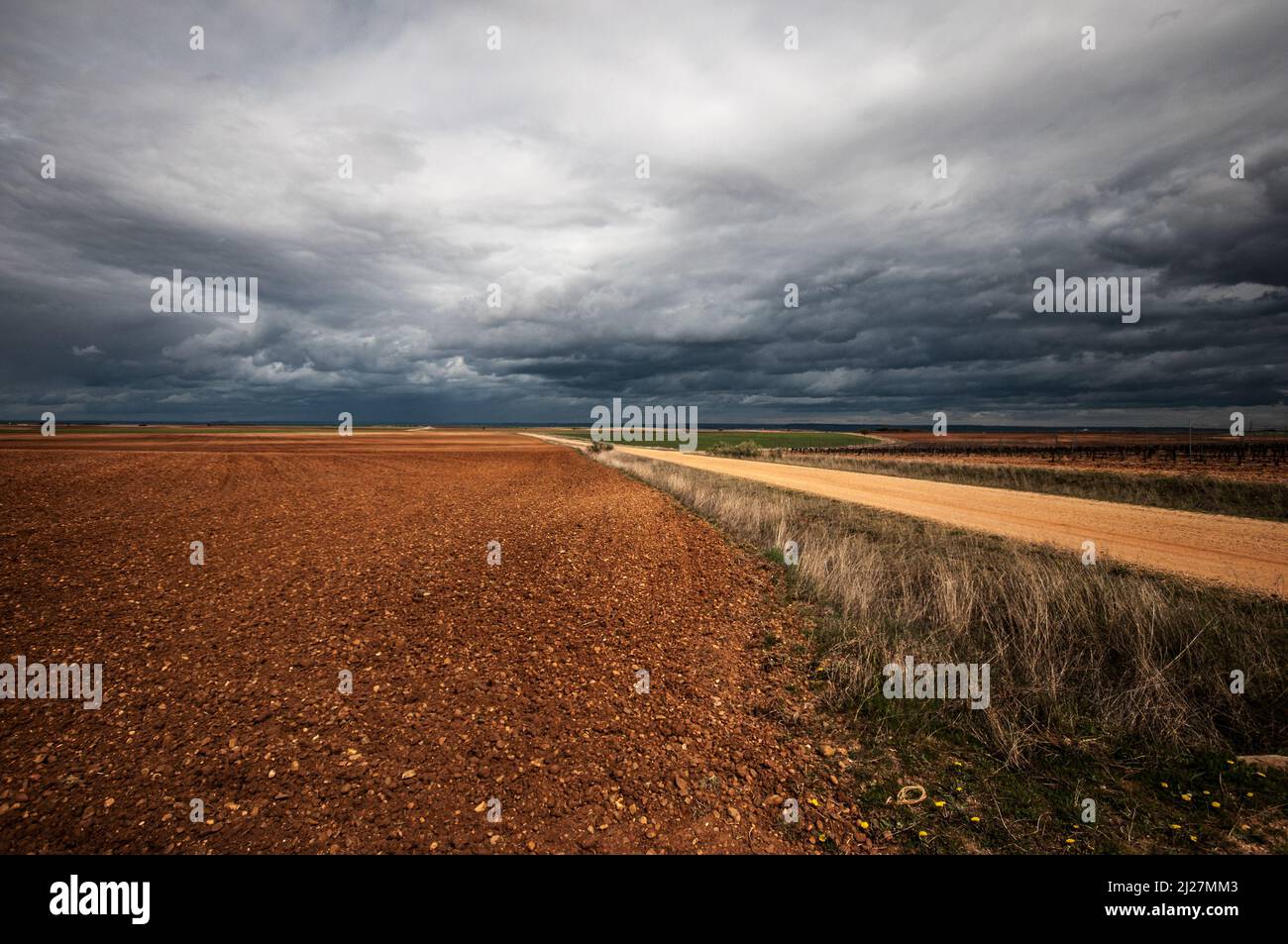 A gravel road in nature leads the view towards the bottom of the image, to the horizon, where a dark gray sky threatening rain begins. Stock Photo