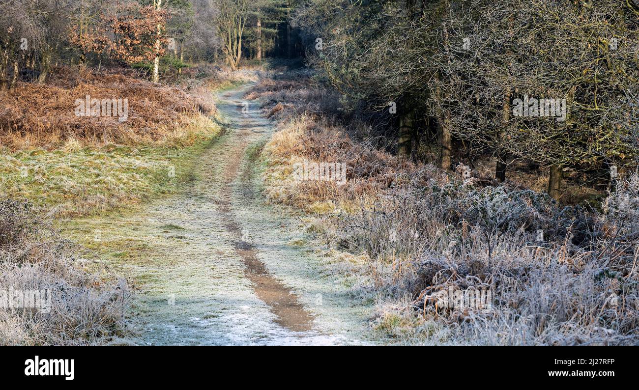 Frost covered landscape hi-res stock photography and images - Alamy