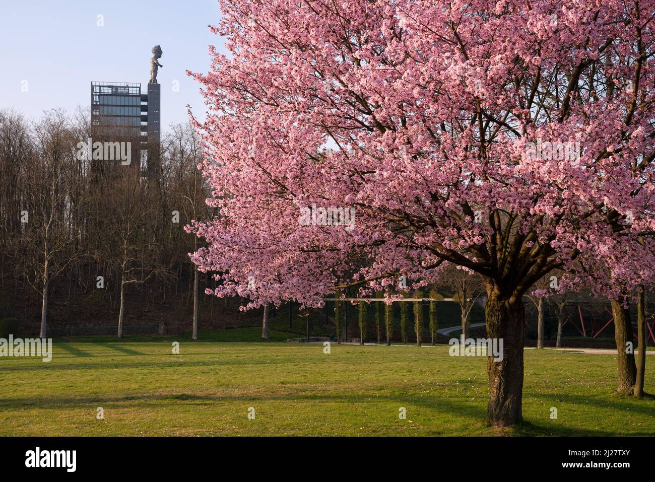 ESSEN, GERMANY - MARCH 25, 2022: Nordsternpark, industrial heritage of Ruhr Metropolis on March 25, 2022 in Gelsenkirchen, Germany Stock Photo