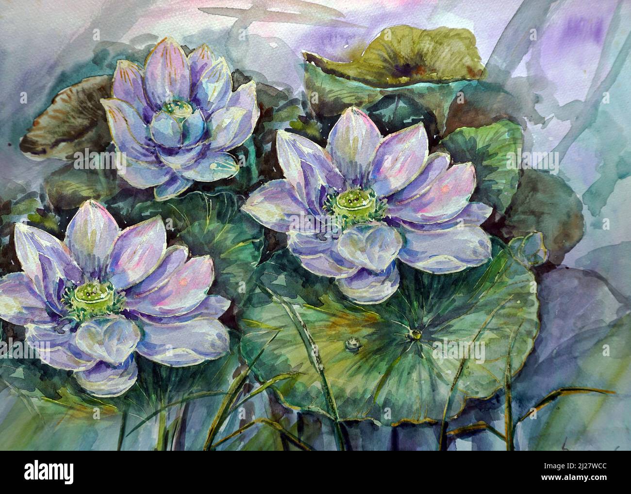 art Watercolor painting lotus flower , waterlily Stock Photo - Alamy