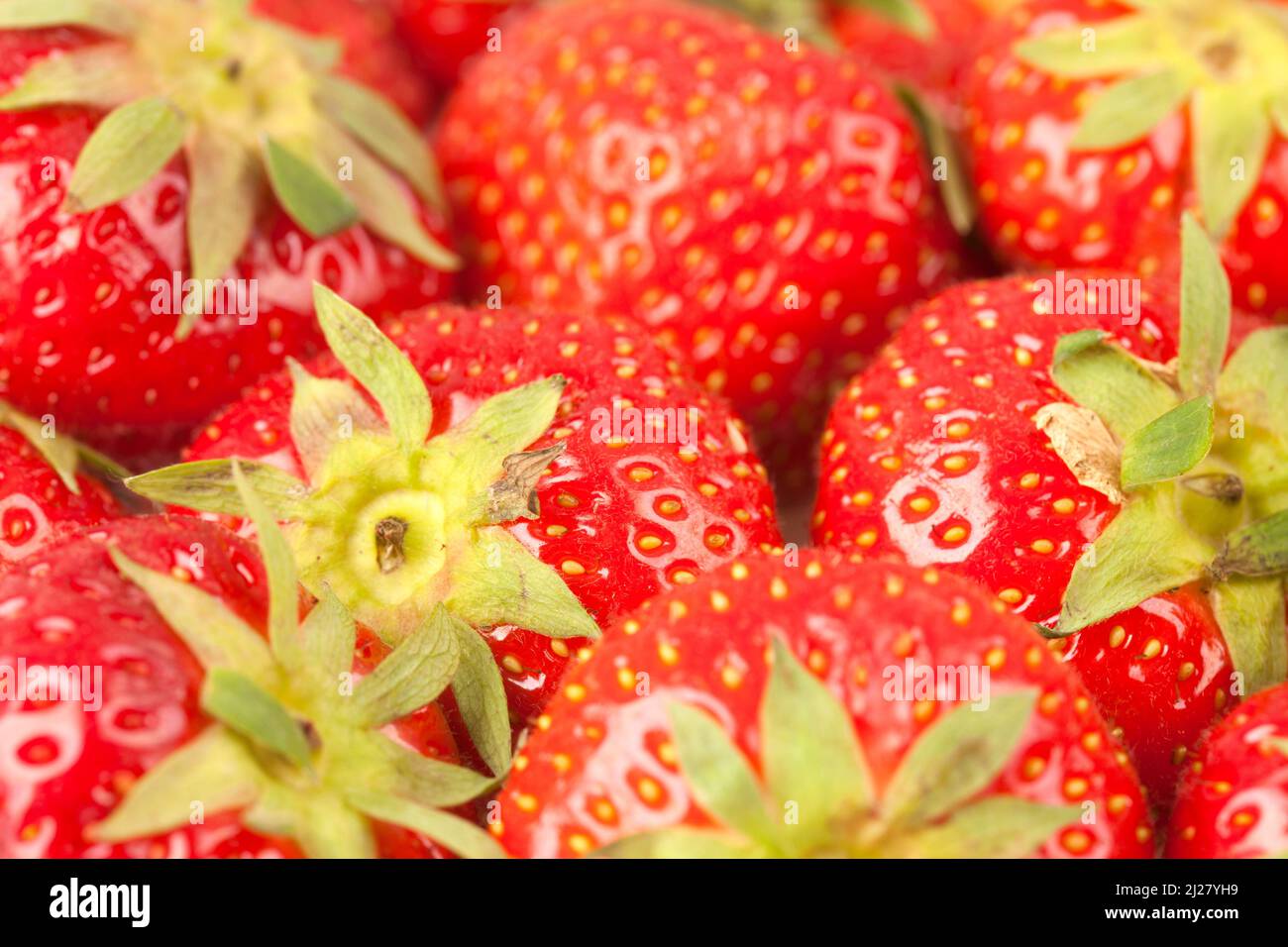 A pile of fresh strawberries Stock Photo - Alamy