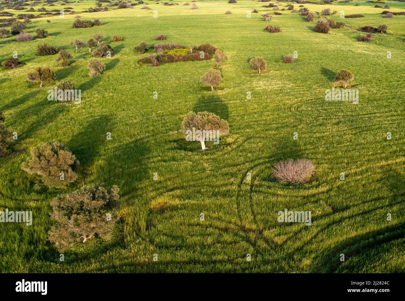 Aerial view of cultivated land on the Akamas Peninsula, Republic of Cyprus Stock Photo