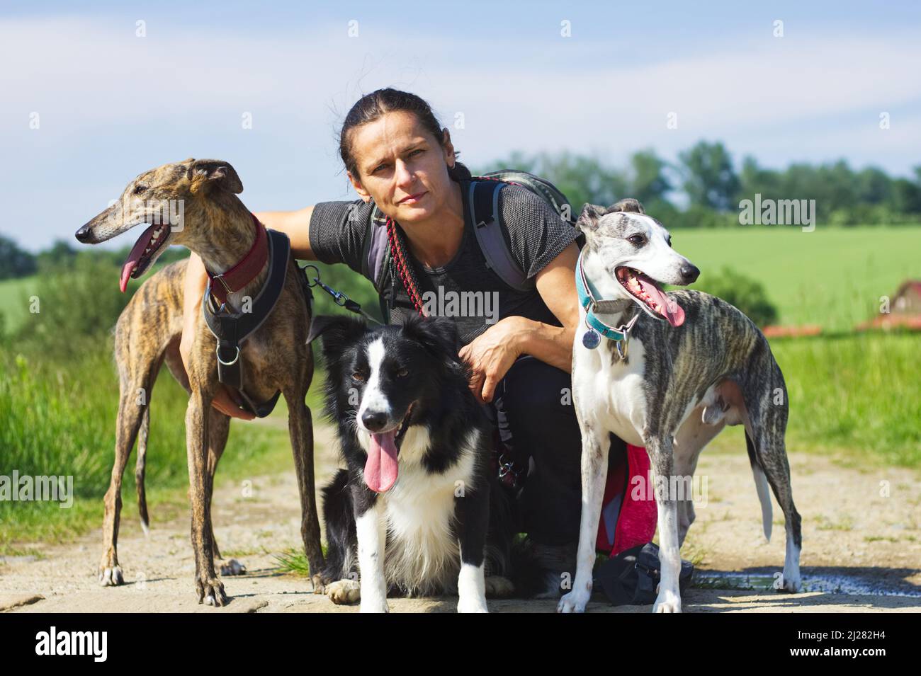 Owner on a walk with her dogs. Portarit of woman withe her dog pack in nature. Animal trainer Stock Photo