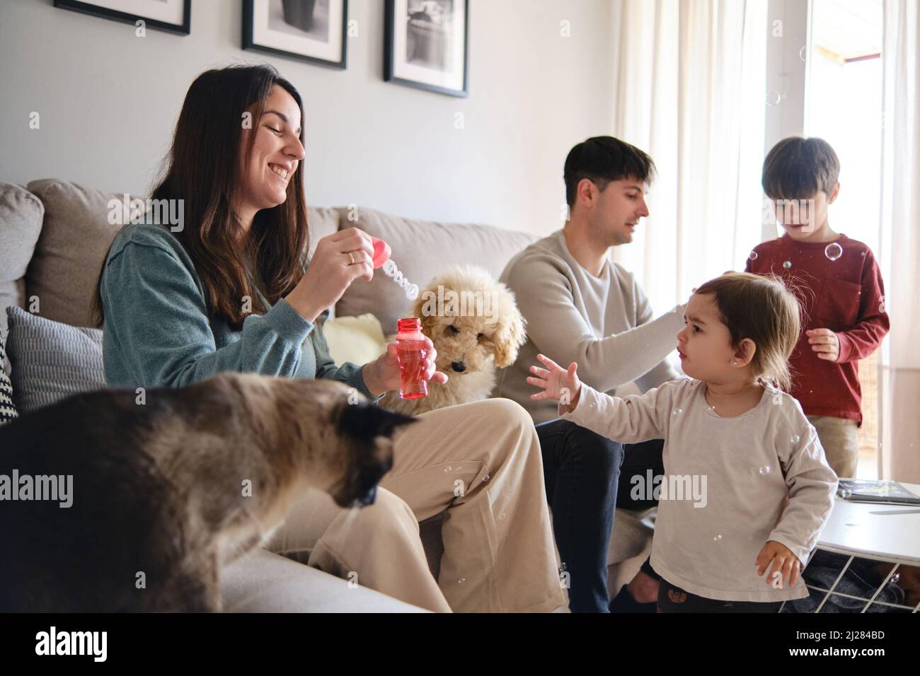 Happy family having fun together while playing blowing soap bubbles at home. Stock Photo