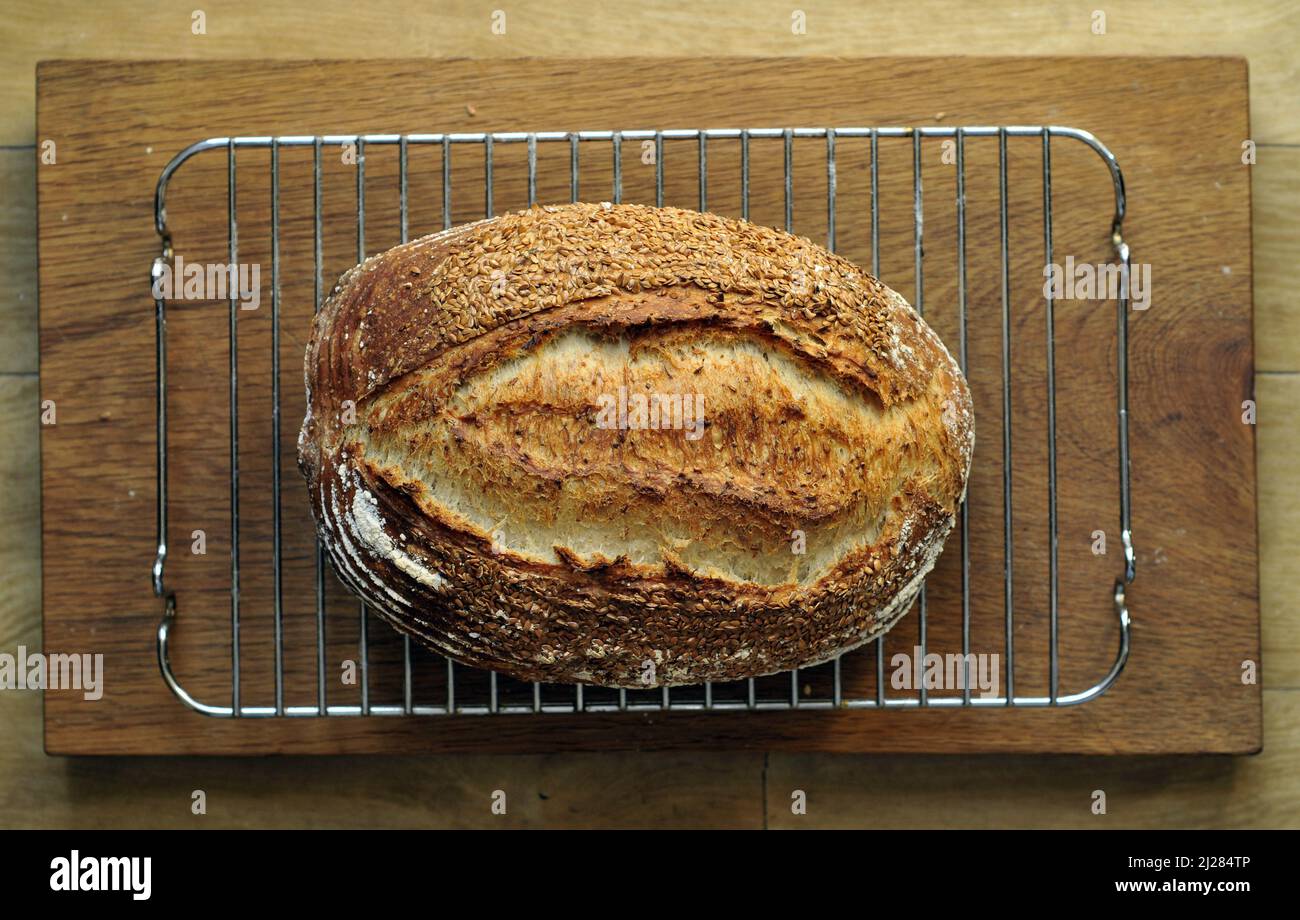 Bread Stock Photo