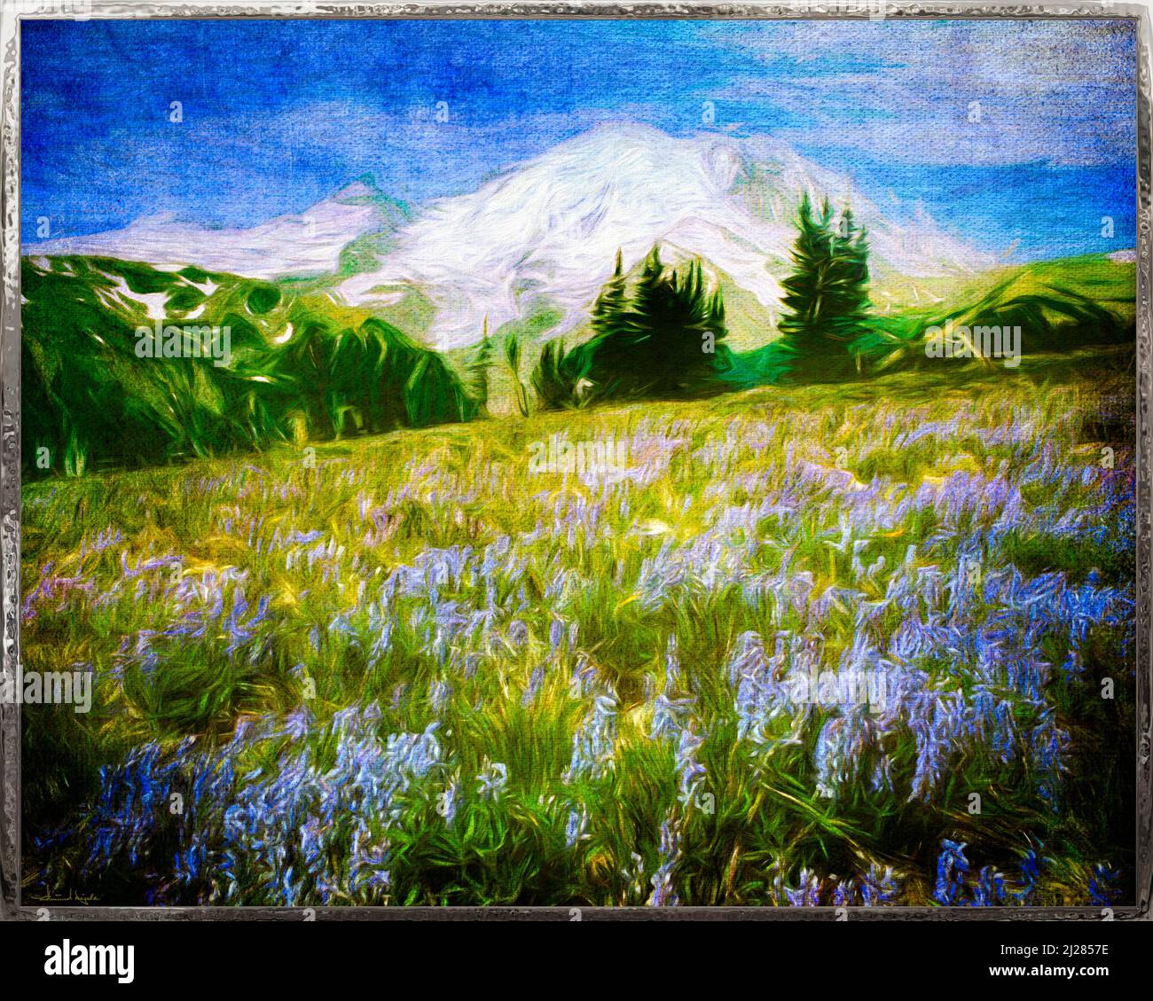 CONTEMPORARY ART: Mount Rainier National Park, Washington State, USA Stock Photo