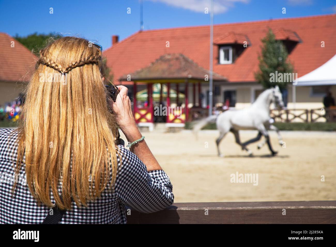 Woman taking picture of horse on horse show. Female photographer on animal exhibition Stock Photo