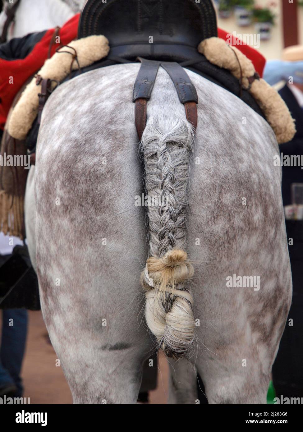 Horse tail in the fairgrounds of Fuengirola during the celebration of the traditional Feria de Octubre Stock Photo