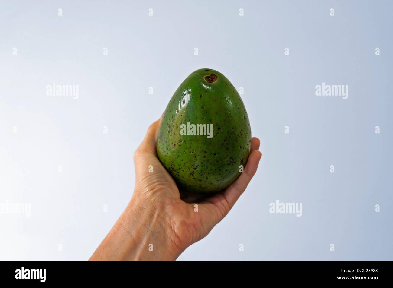 Avocado in hand hi-res stock photography and images - Alamy