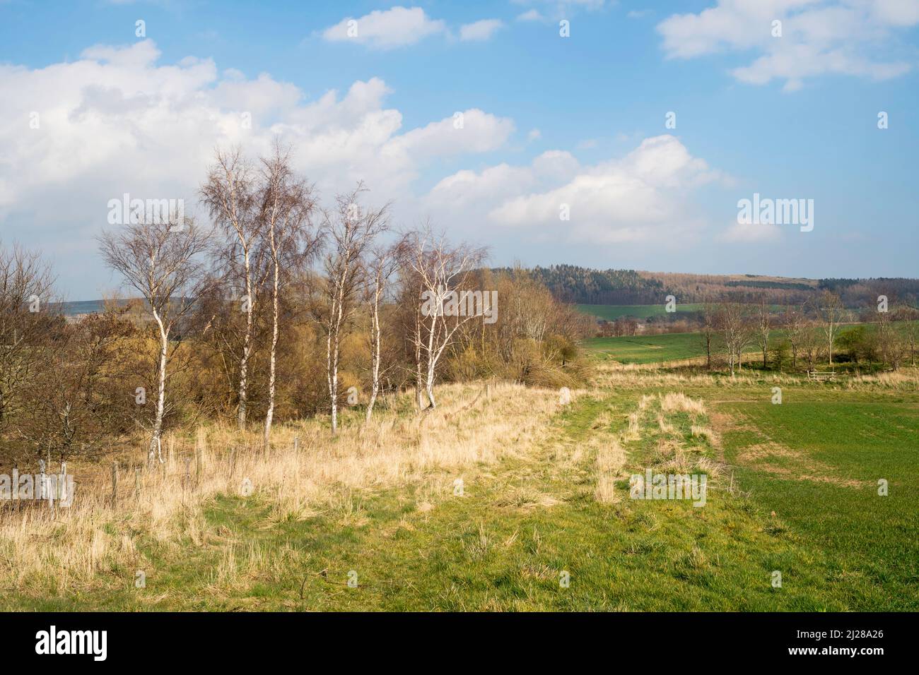 A footpath leading to Amersidelaw, near Chatton in Northumberland, England, UK Stock Photo