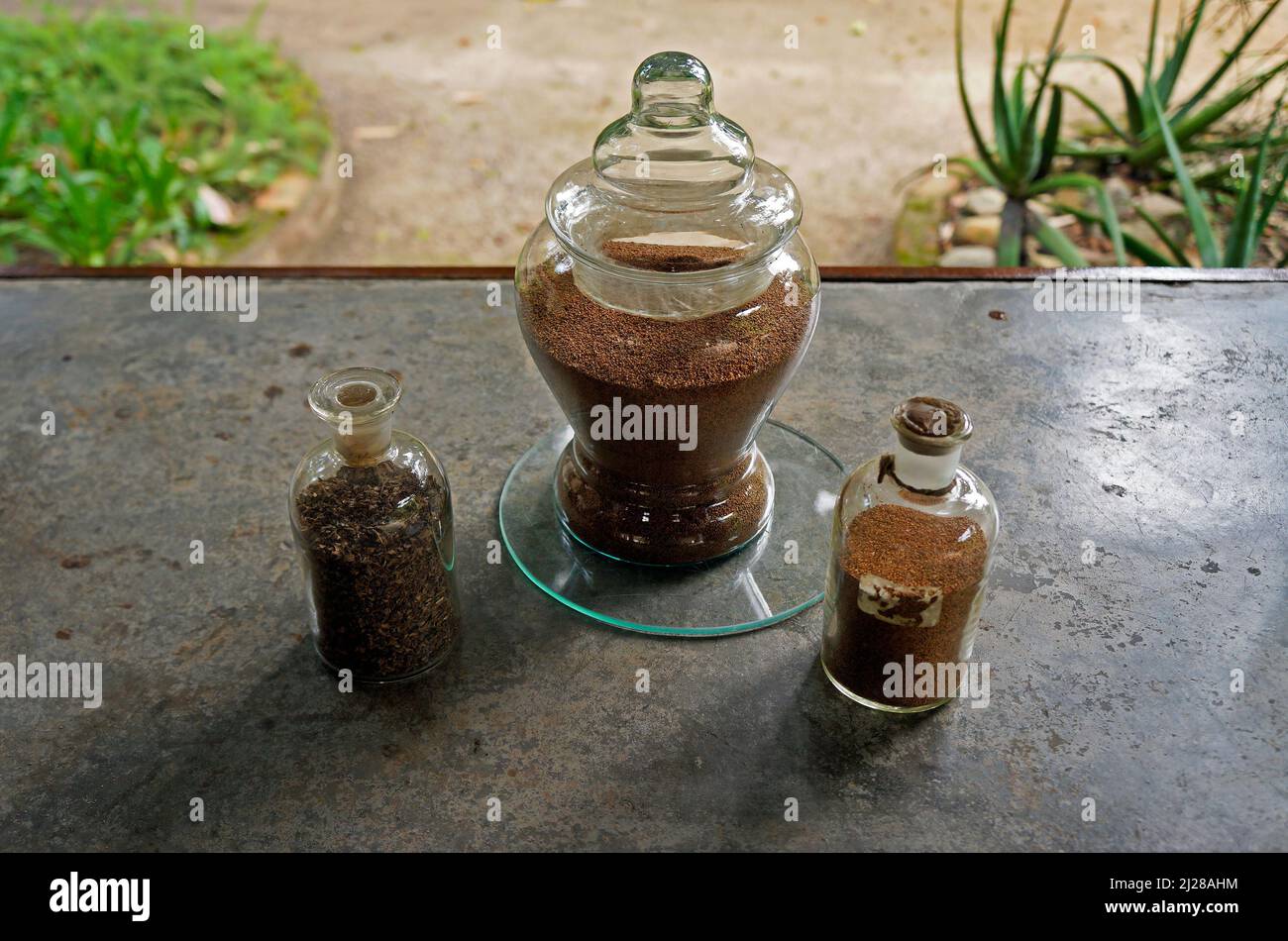 Three glass jars with herbal seeds Stock Photo