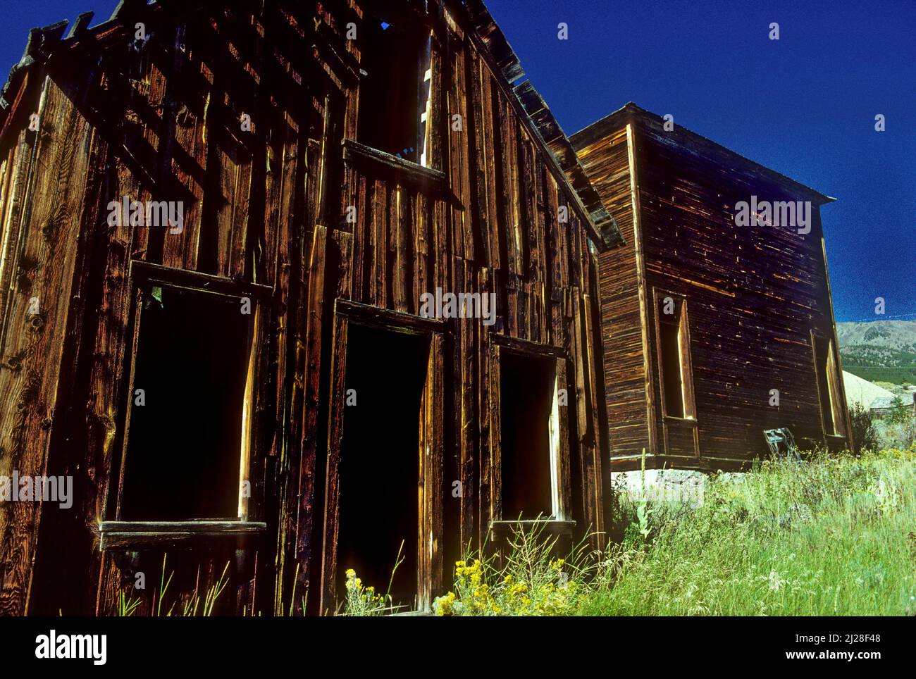 MT: Jefferson County, Boulder Valley, Elkhorn (ghost town), Abandoned buildings on overgrown street. Stock Photo