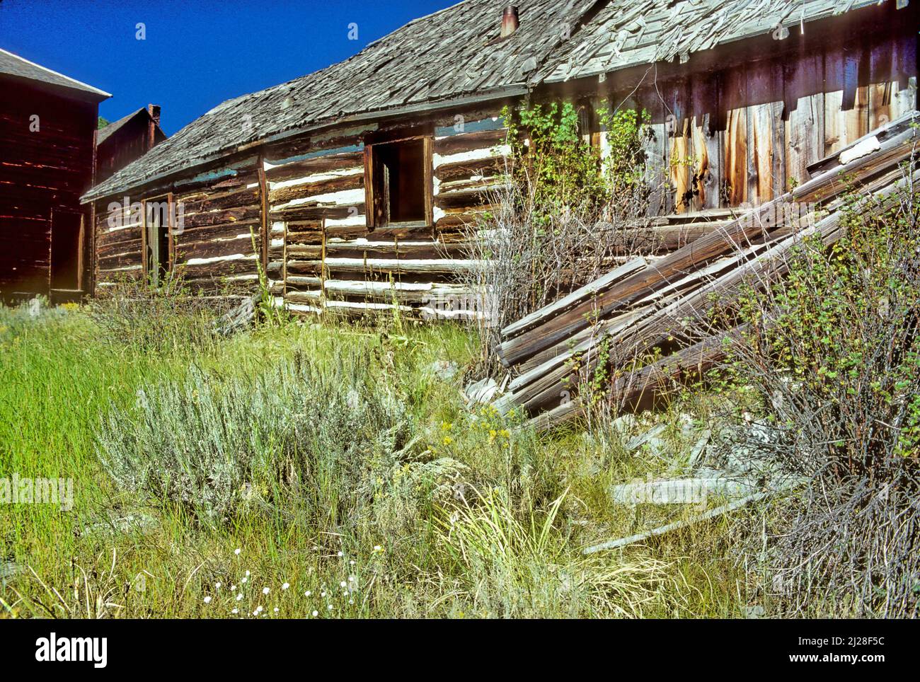 MT Jefferson County, Boulder Valley, Elkhorn (ghost town), Abandoned connected log cabins. [Ask