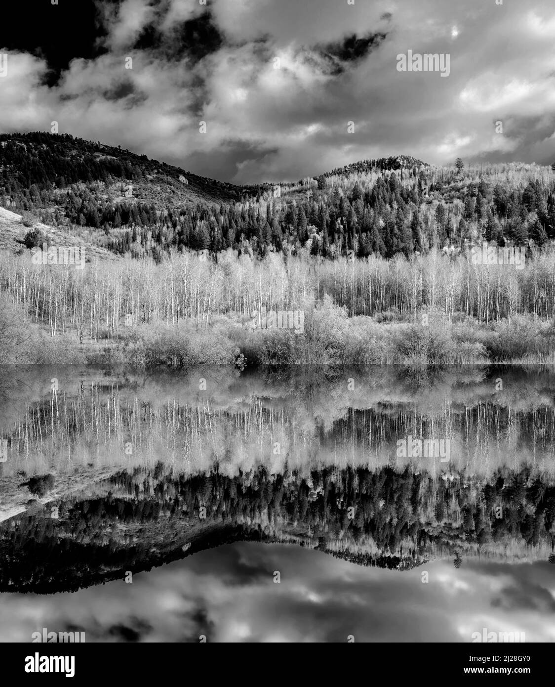 Jackson hole moonrise Black and White Stock Photos & Images Alamy