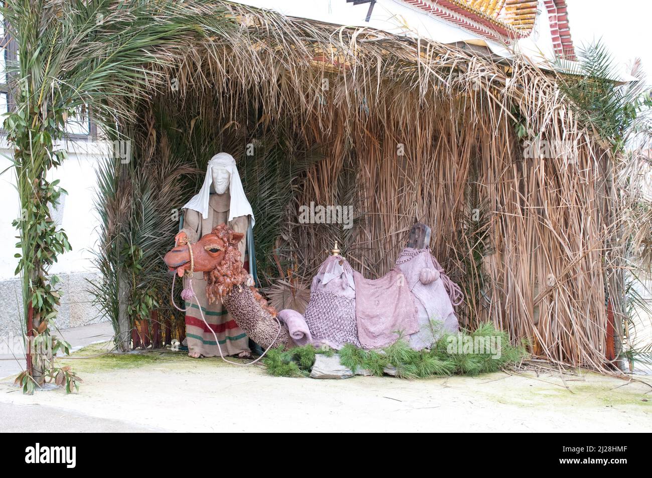 Nativity scene with one of the three kings and a camel Stock Photo - Alamy