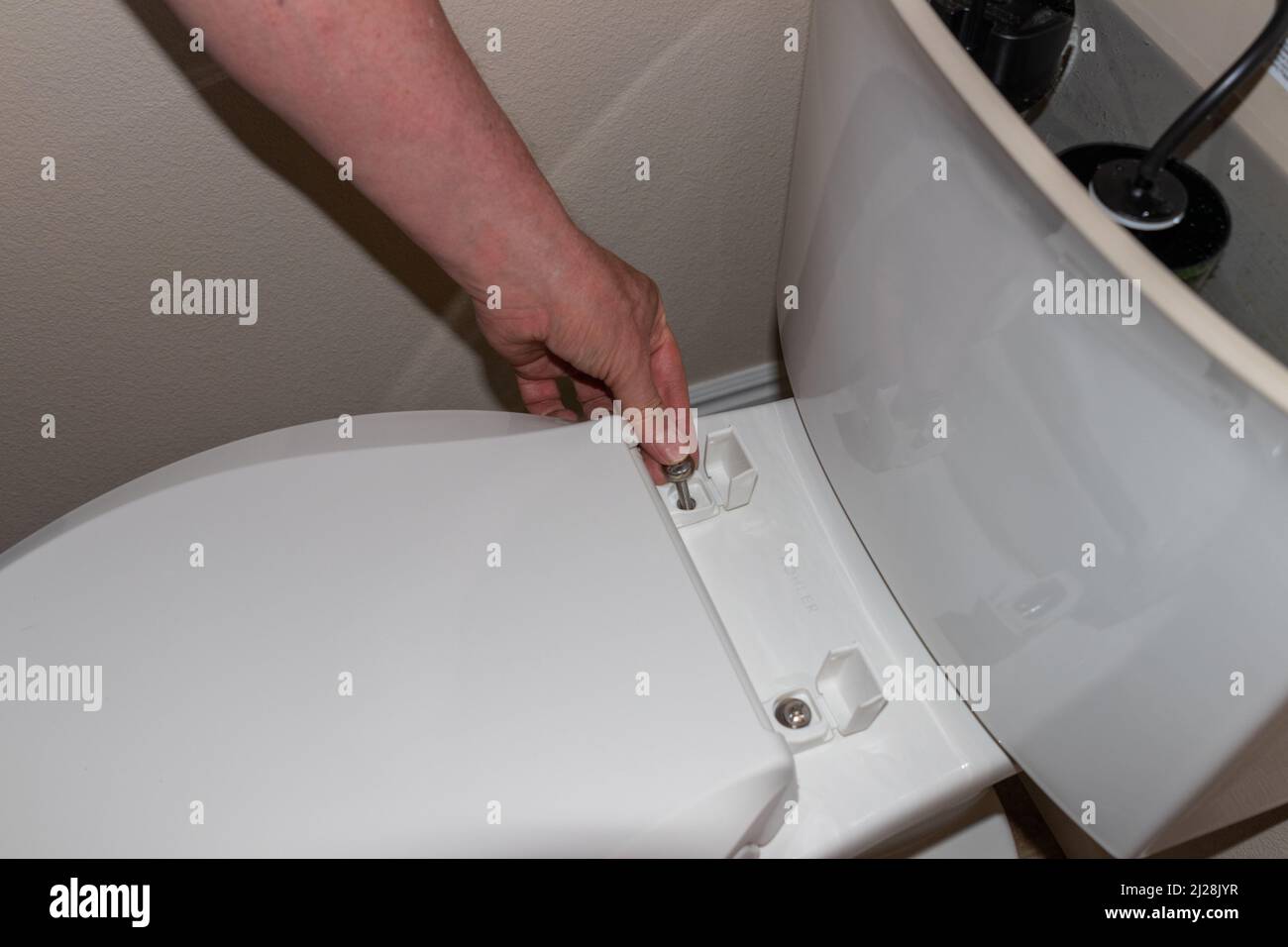 Installing a new toilet, privy or latrine Stock Photo Alamy
