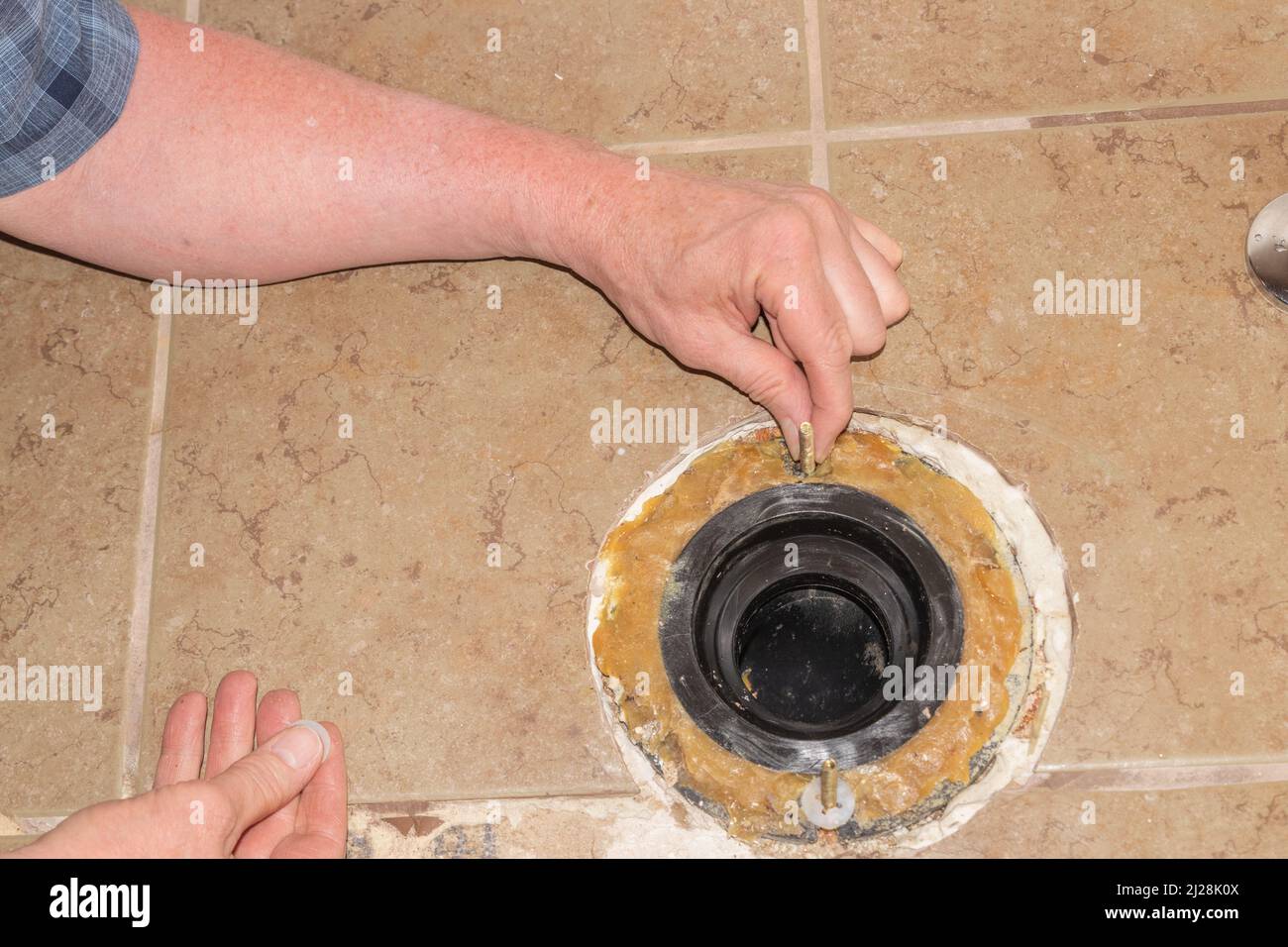 Installing a new toilet, privy or latrine Stock Photo Alamy