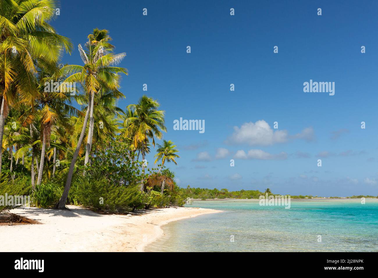 palm lined atolls in Tuamotu archipelago Stock Photo