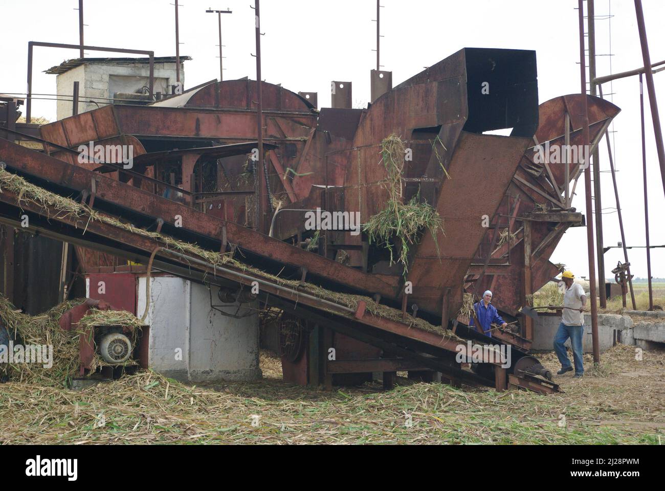 Chambas, Cuba, April 25, 2010. Loading sugar cane into train carriages. Stock Photo
