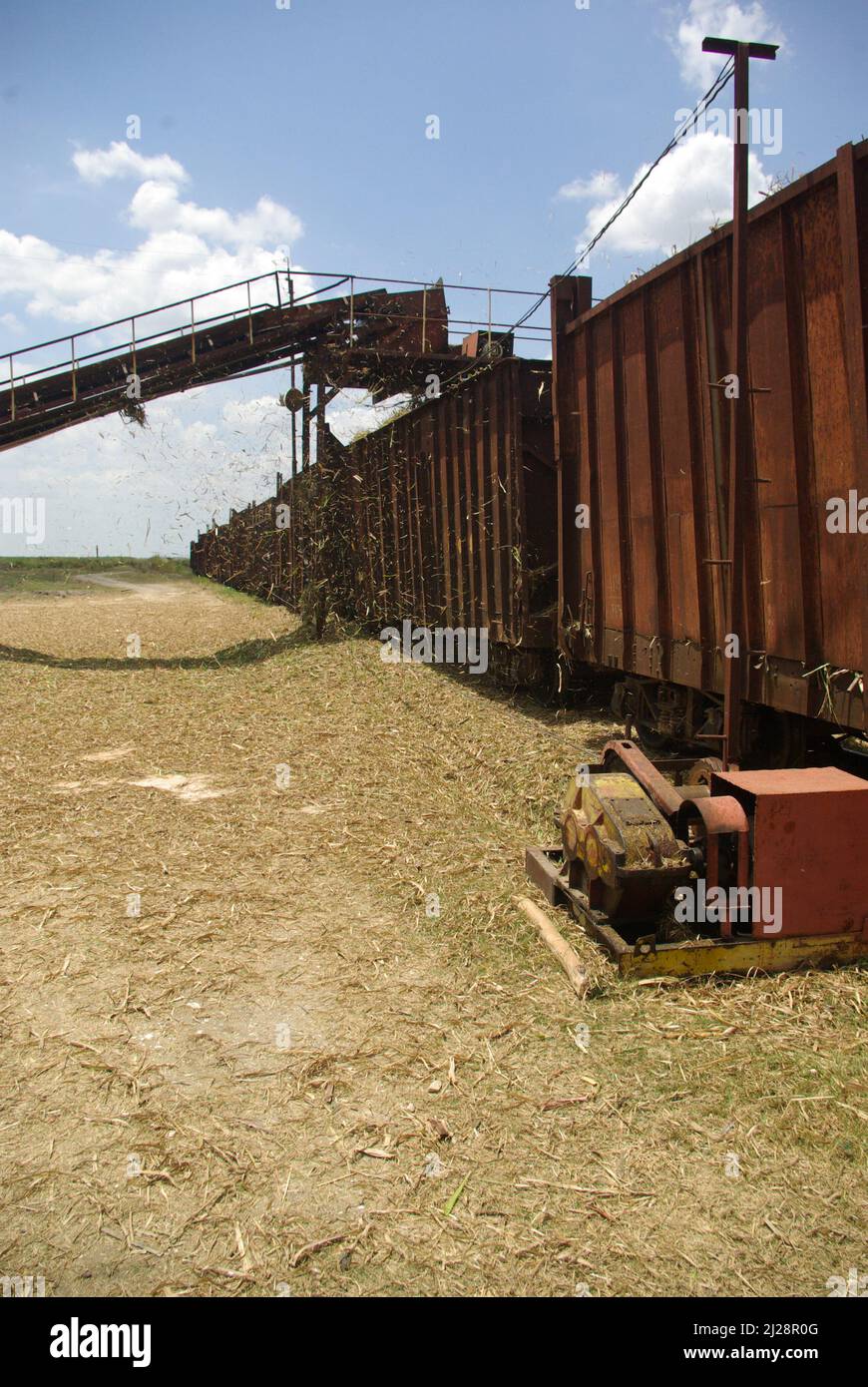 Chambas, Cuba, April 25, 2010. Loading sugar cane into train carriages. Stock Photo