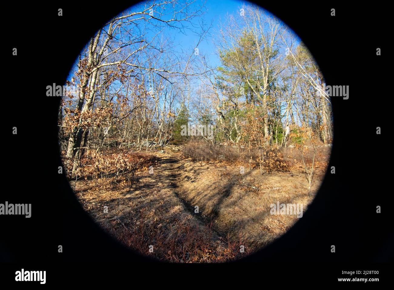 Arlington's Great Meadows Stock Photo Alamy