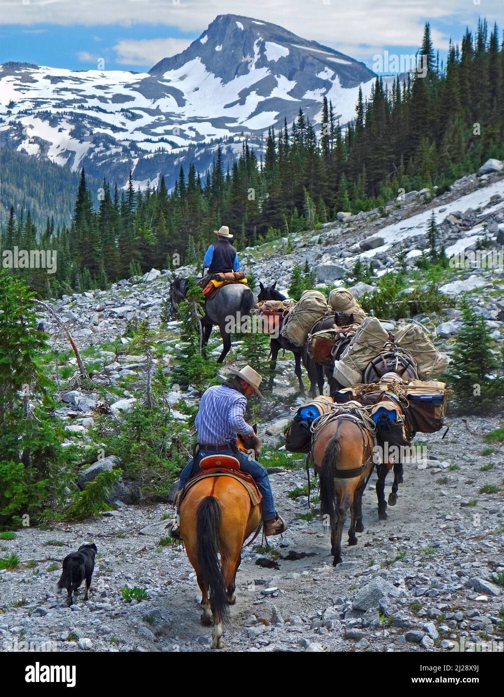 Horse packing into Eagle Cap Wilderness, Oregon Stock Photo Alamy