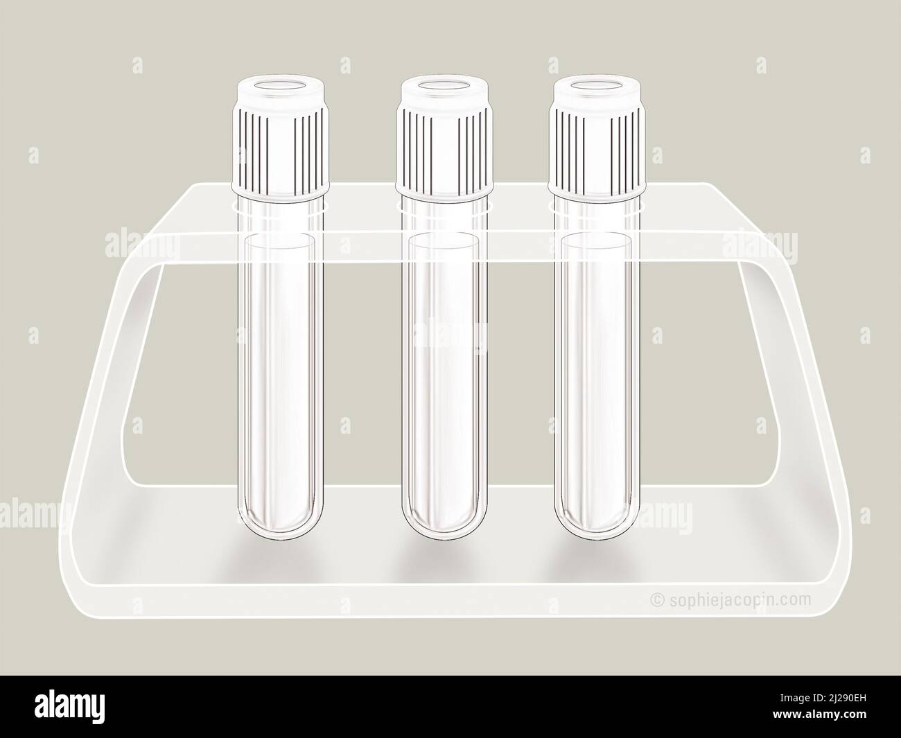 Test tubes - support Stock Photo