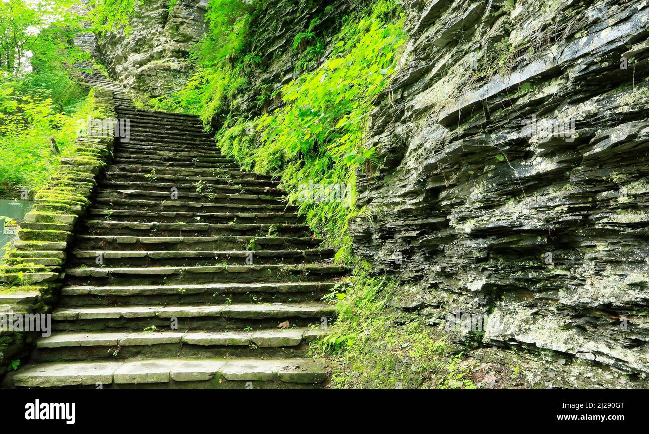 Stony stairs in Watkins Glen gorge, New York Stock Photo