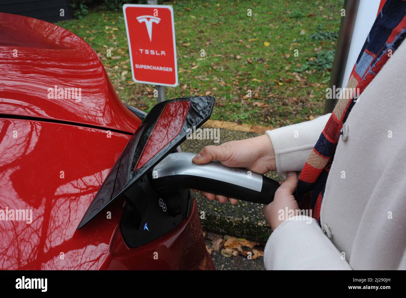 Tesla Stock Photo