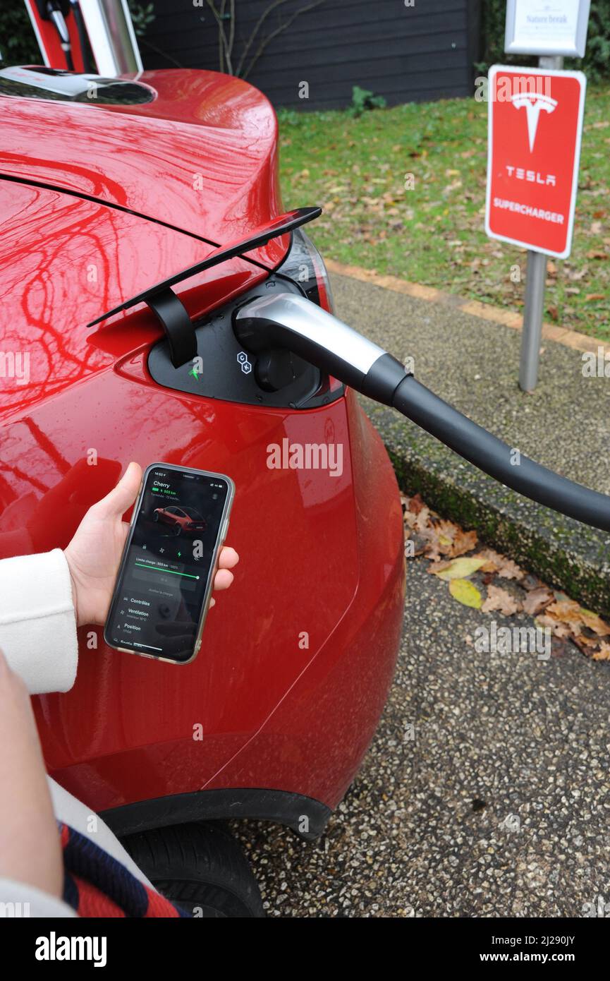 Tesla Stock Photo