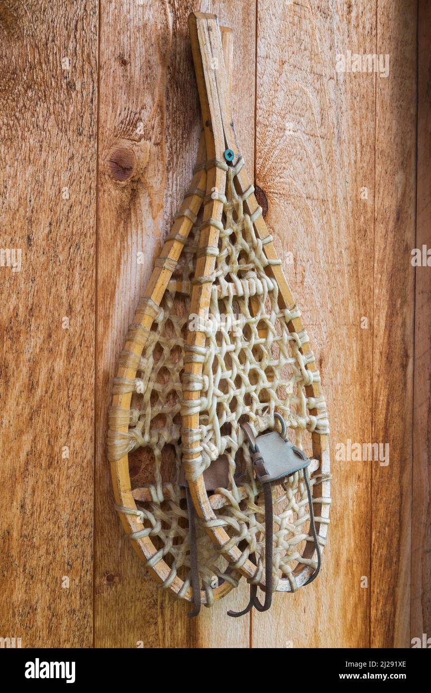 Pair of rawhide snowshoes on rustic wood plank wall. Stock Photo