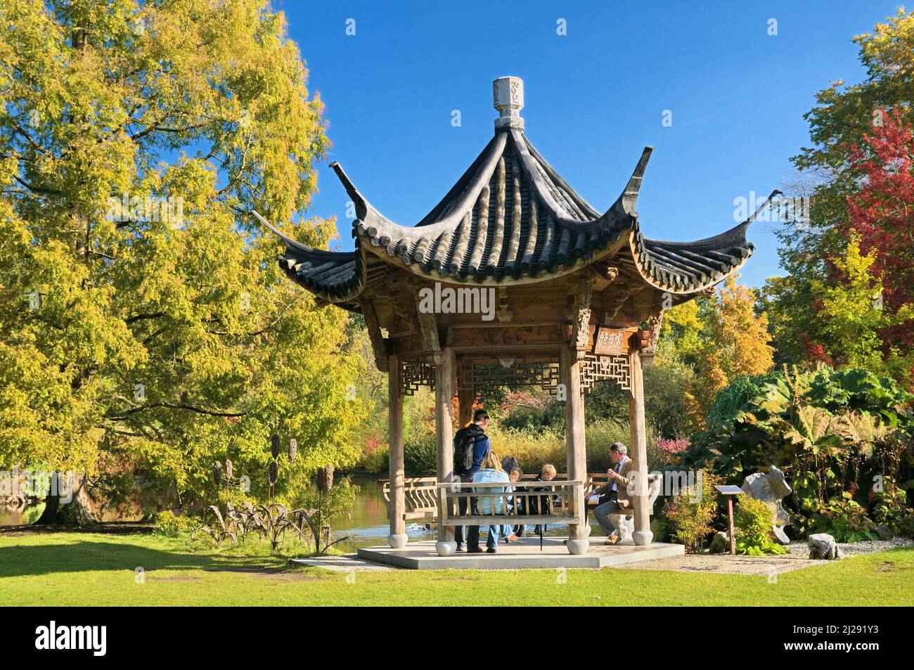 A family sitting in a Chinese pagoda surrounded by vibrant autumn colour in sunshine, RHS Garden Wisley, Surrey, England, UK.  RHS Wisley Gardens. Stock Photo