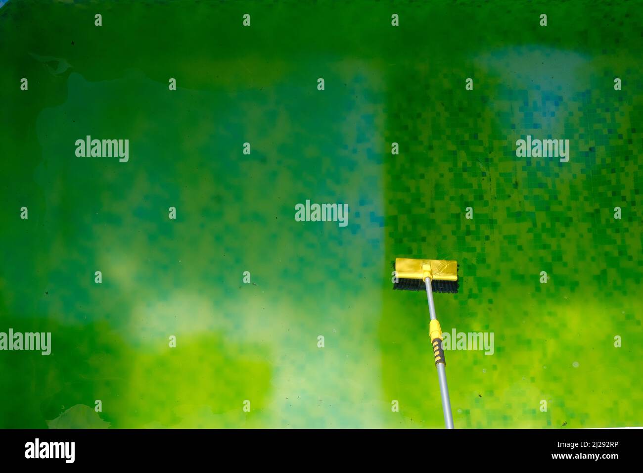 Cleaning the home summer pool from green algae. Swimming Pool Cleaning