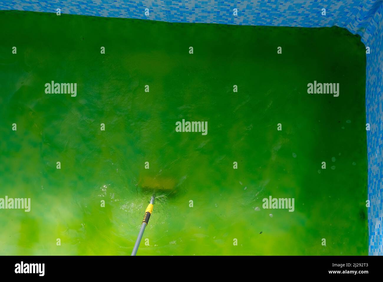 Cleaning algae from a pool hires stock photography and images Alamy