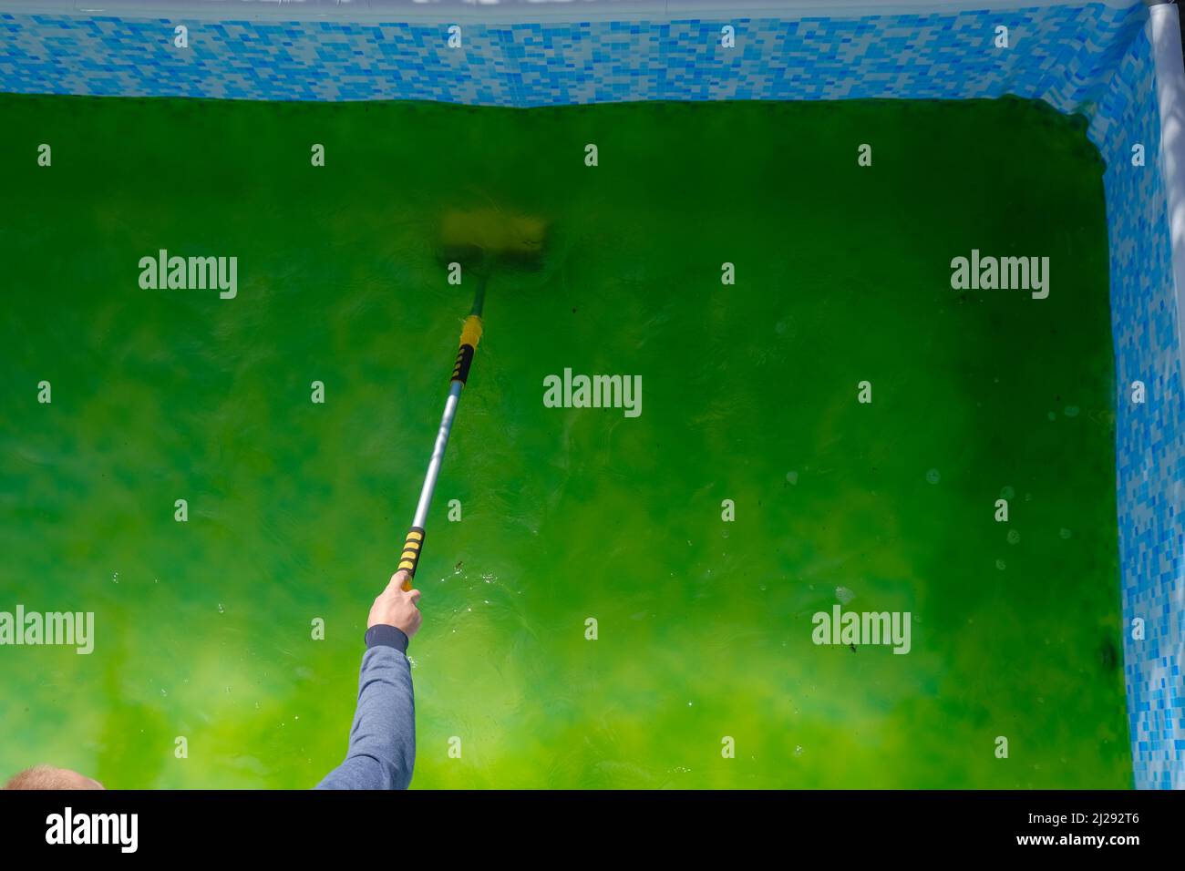 Cleaning the pool from green algae. Swimming Pool Cleaning.Algae in the pool.Man brushing a