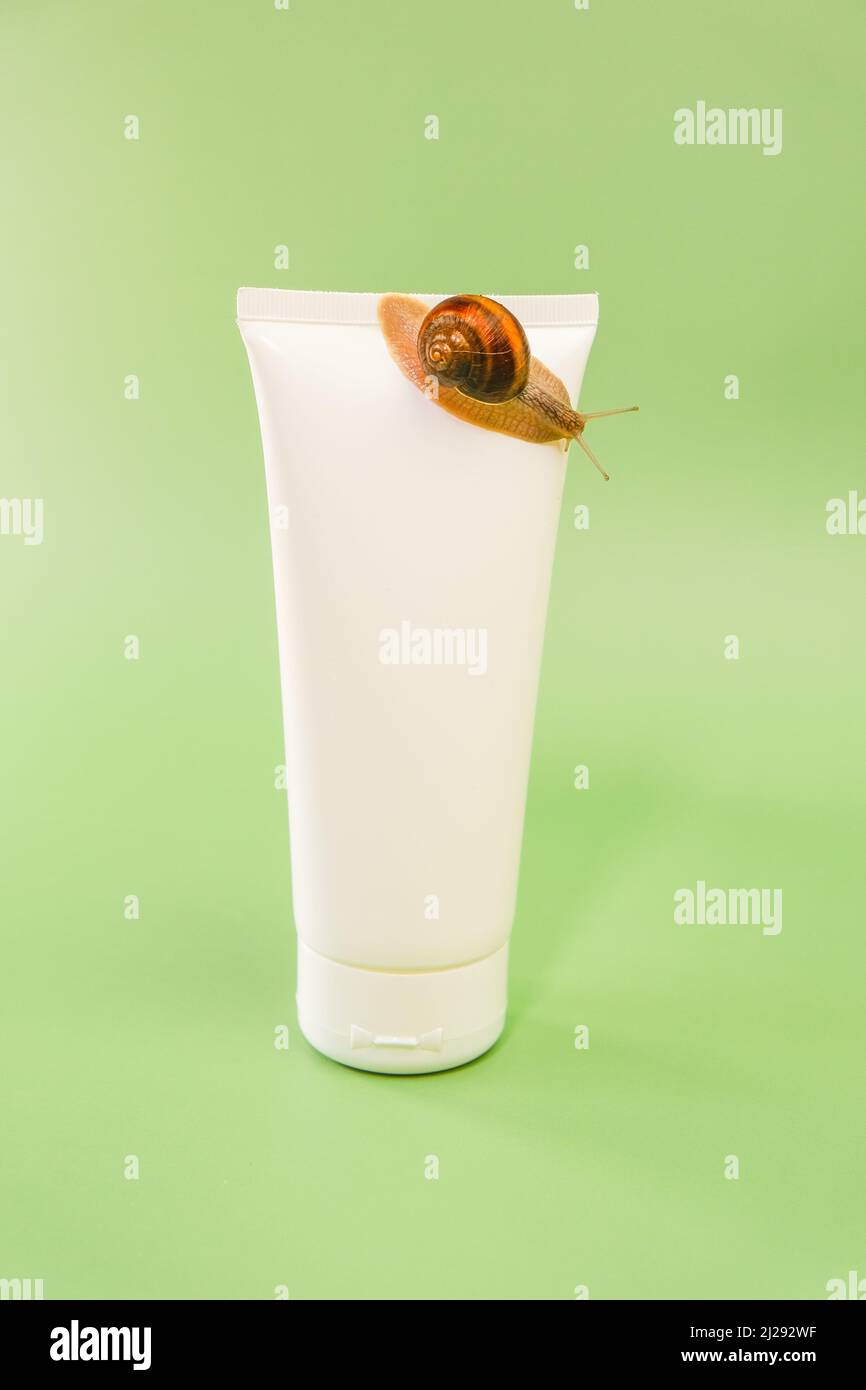 Snail cosmetics.Snail extract.Snails on a white tube on a green background.Organic cosmetics with snail slime.Cosmetic tube with snail extract  Stock Photo