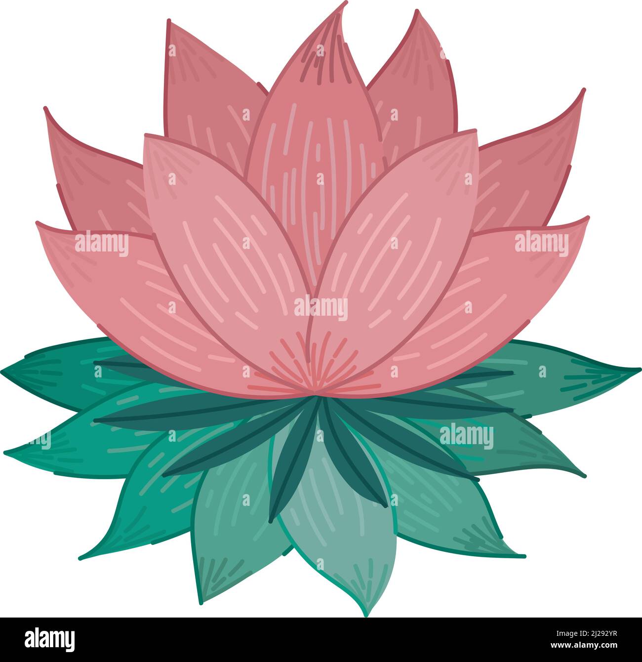 pink lotus design Stock Vector Image & Art Alamy