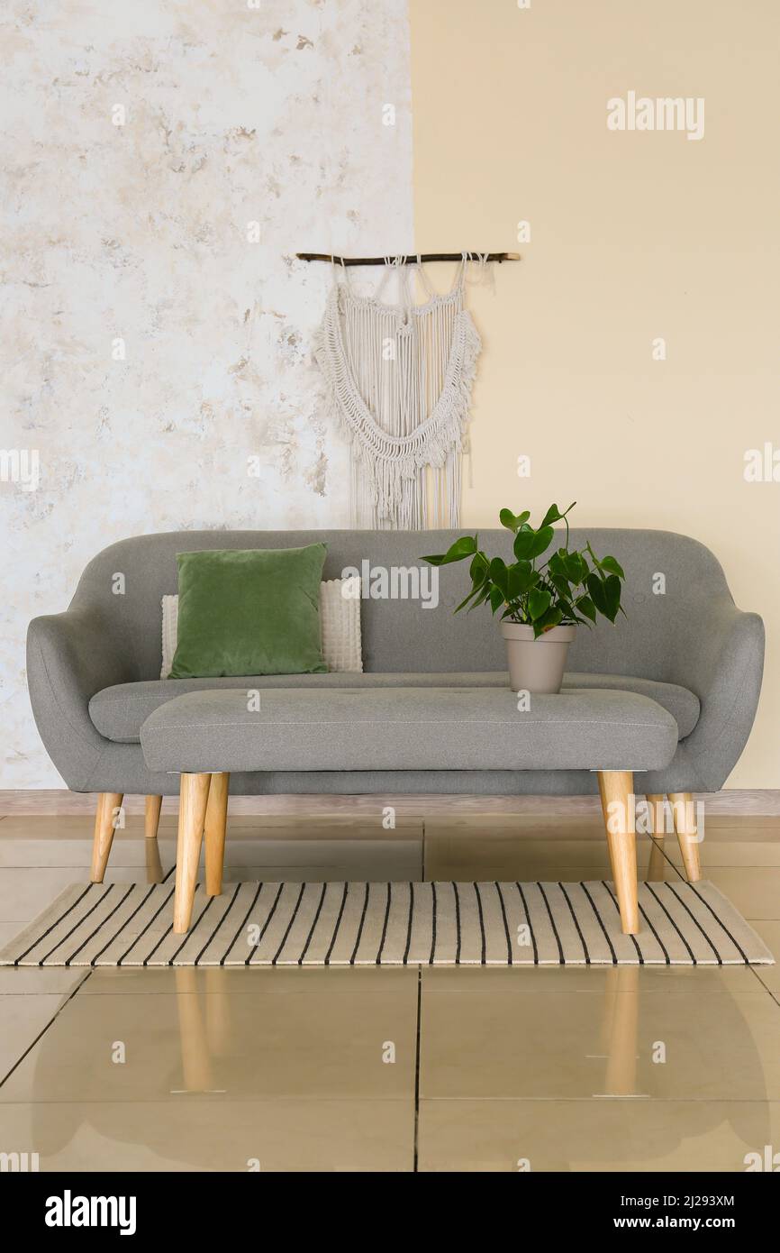 Interior of modern living room with stylish sofa and houseplant Stock ...